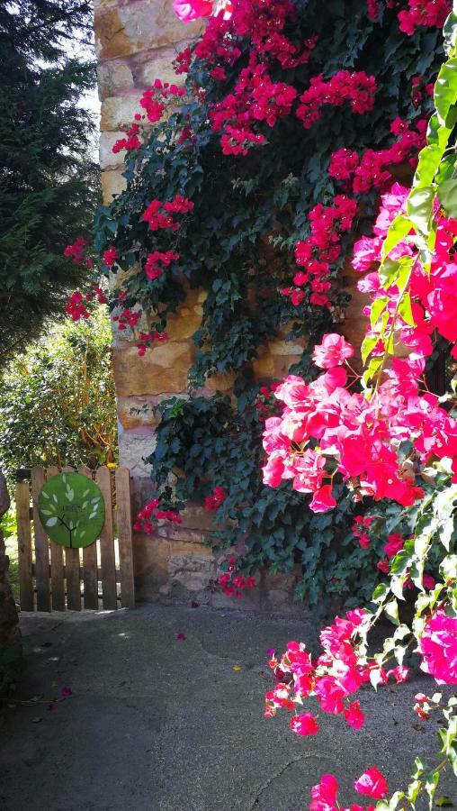 Casa Rural La Posada Del Alba Alea Eksteriør billede